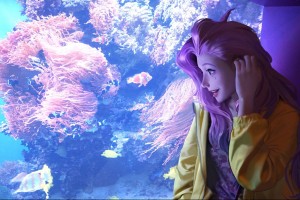 红崖峡谷风景区旅游攻略，红崖大峡谷景区门票多少钱